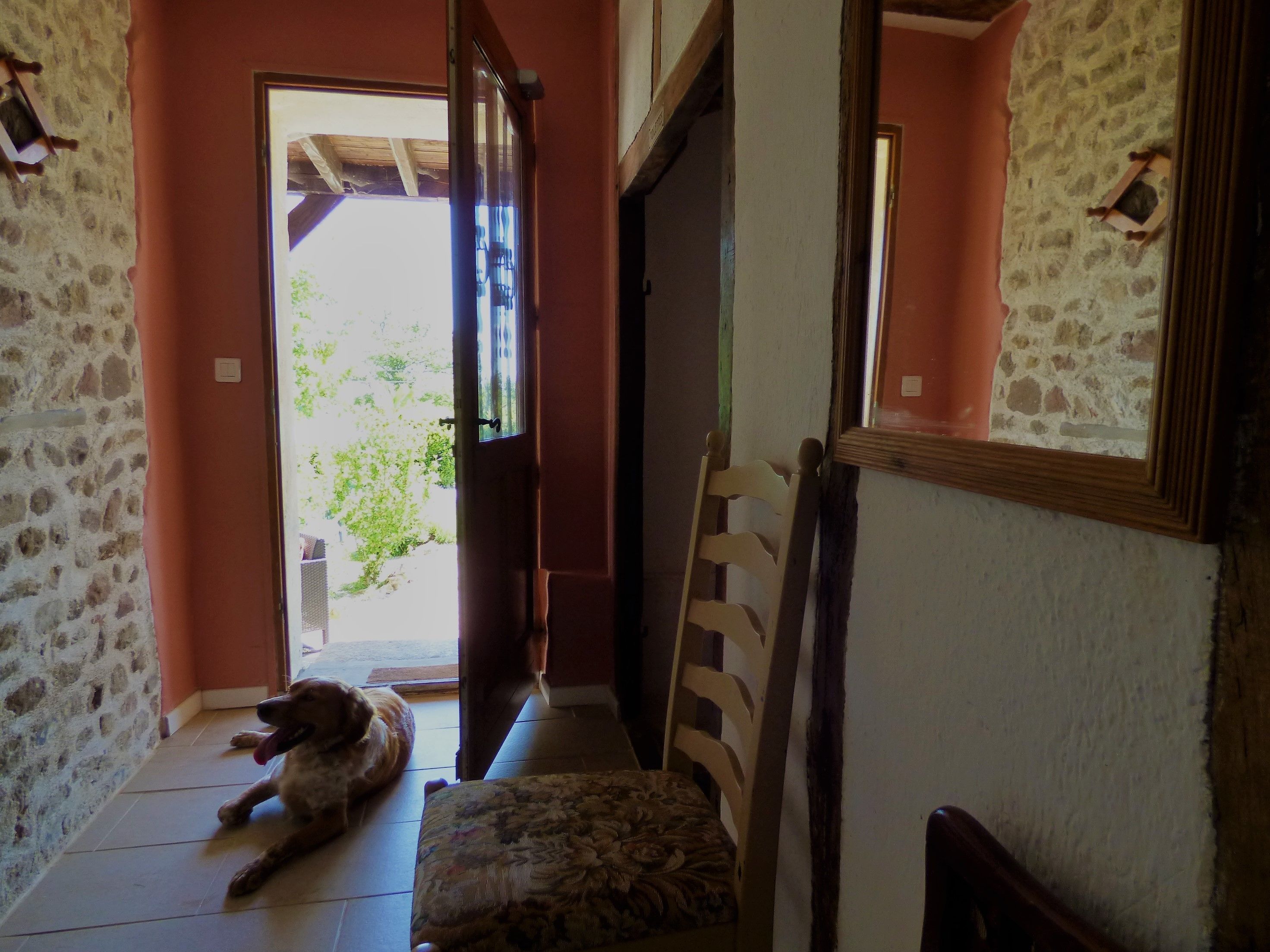 Un pasillo con un perro acostado en el suelo, una silla y un espejo en la pared.
