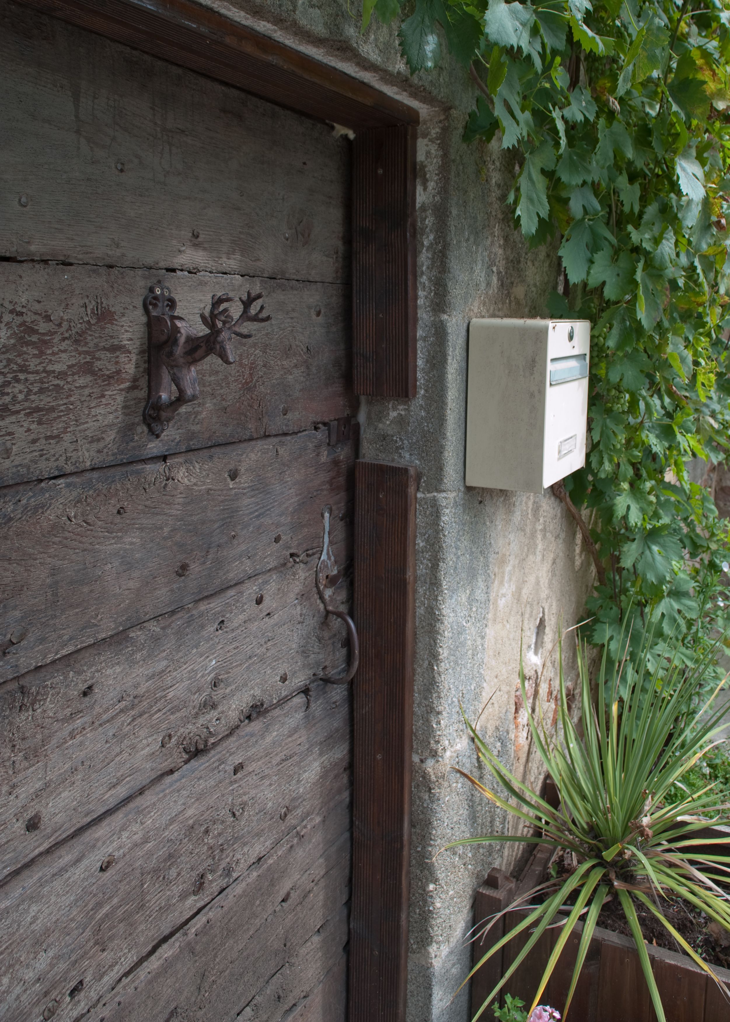 A rustic wooden door with a deer-shaped knocker, a mailbox, and a potted plant beside it.