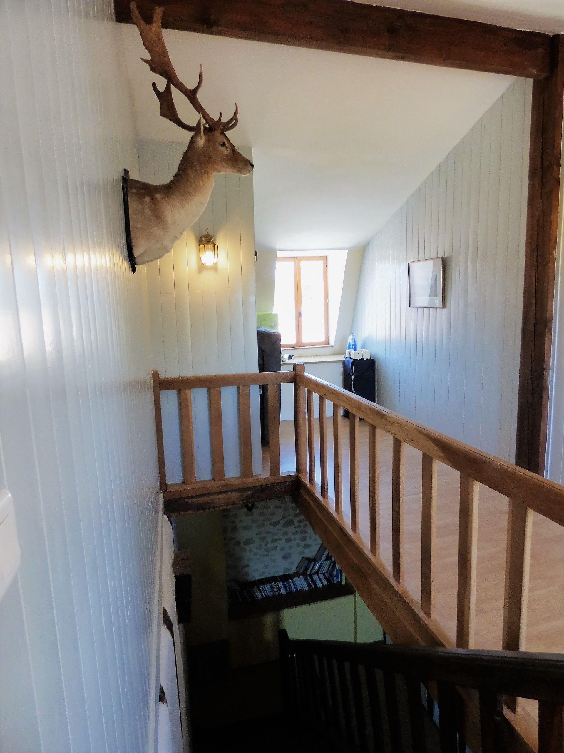 A staircase with a wooden railing, a mounted deer head on the wall, and a window with natural light.