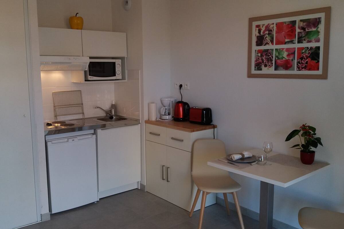 Basic Studio, 1 Twin Bed | Private kitchenette | Coffee/tea maker, fridge, microwave, stovetop