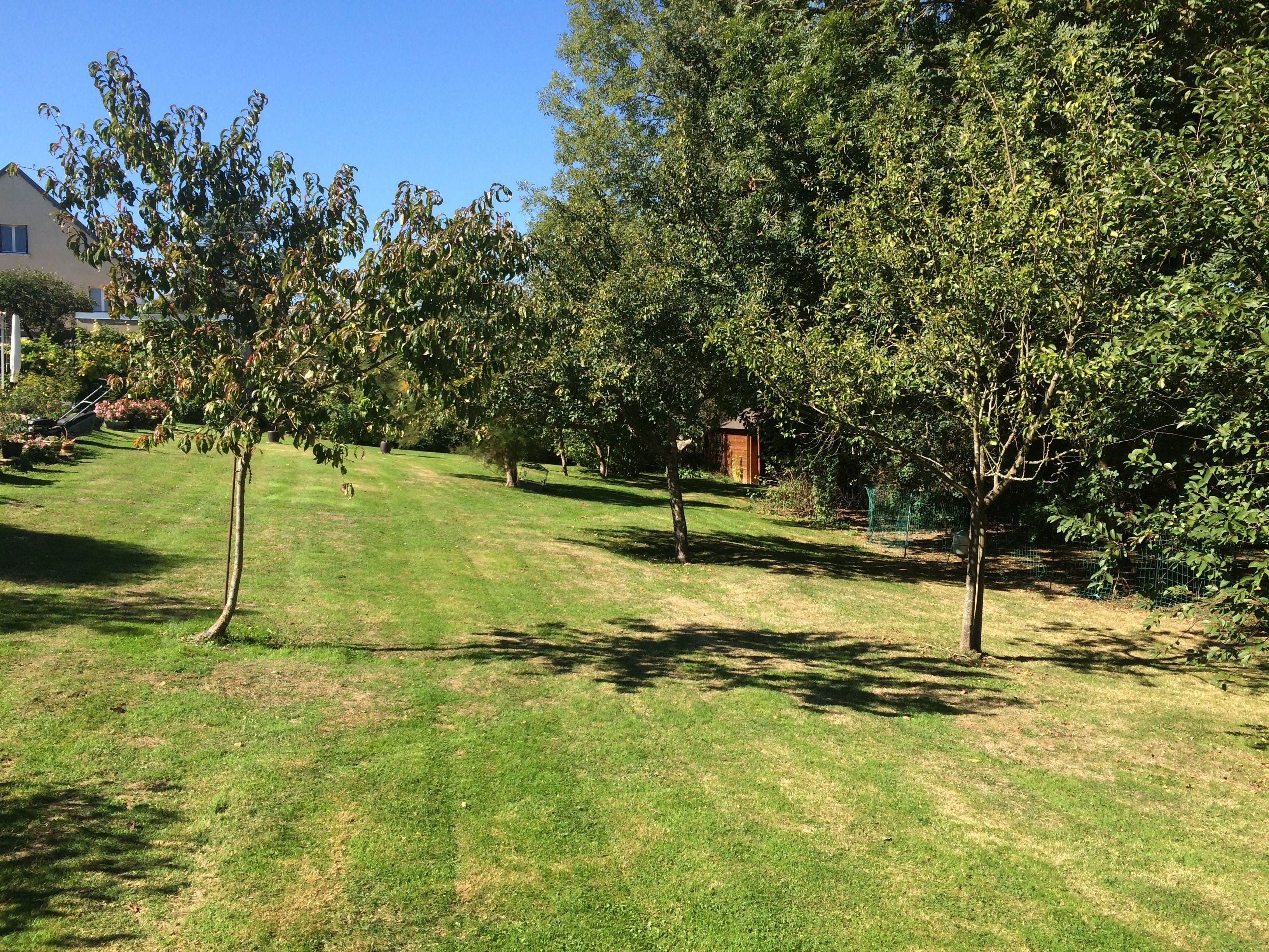 Un área verde bien cuidada con varios árboles y una pequeña estructura de madera al fondo.