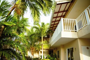 Garden - Hotel Isla Bonita (San Andrés)