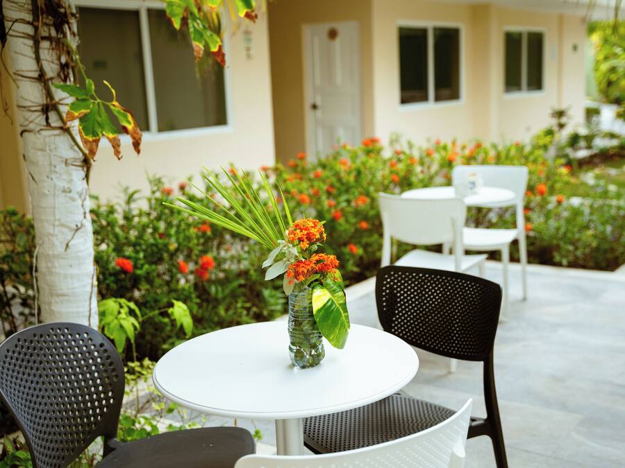 A round table with a vase of flowers, two chairs, and a white building in the background.