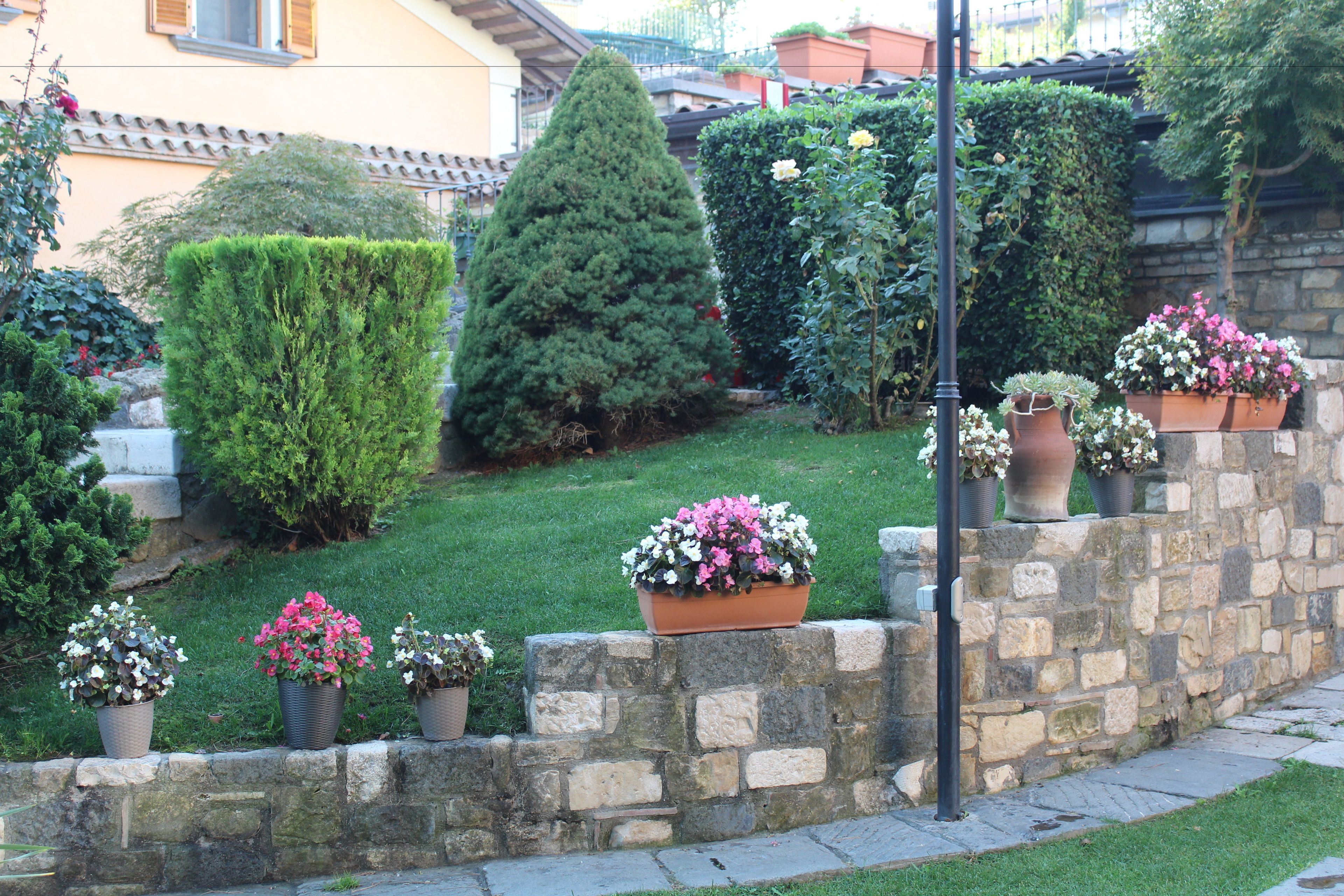 Un muro de piedra con plantas en macetas y un césped bien cuidado.