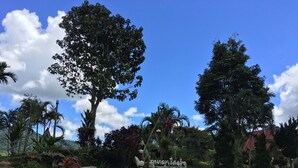 A garden with a stone pathway, various plants, and a sign with text. - Phunaya Resort (Khao Kho)