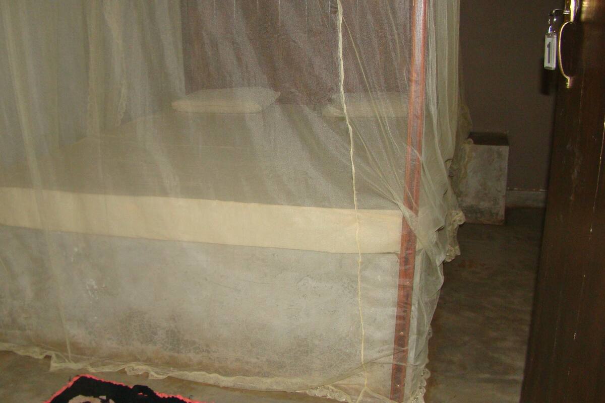 A room with a bed covered by a sheer, striped canopy.