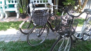 A bicycle with a basket parked on a paved path. - Hotel Camorich (Thissamaharama)