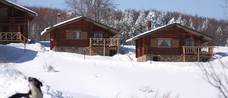 A log cabin with a balcony, surrounded by snow-covered trees.