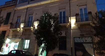 Domus Nova