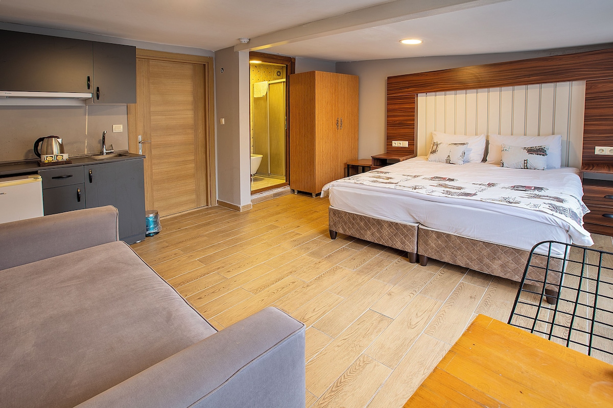A hotel room with a bed, a sofa, a desk, a wardrobe, and a shower area.