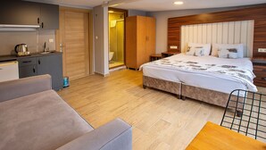 Una camera d'albergo moderna con un letto, un divano, un armadio in legno, un bagno con doccia e un angolo cottura.