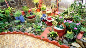 A garden with various potted plants, rocks, and a tiled pathway. - Sea Pearl Guest house (Candolim)