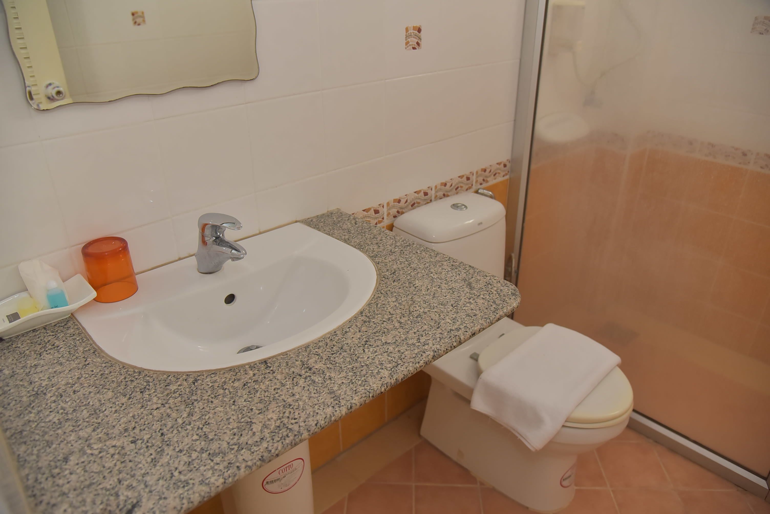 Baño con lavamanos de granito, inodoro y zona de ducha.