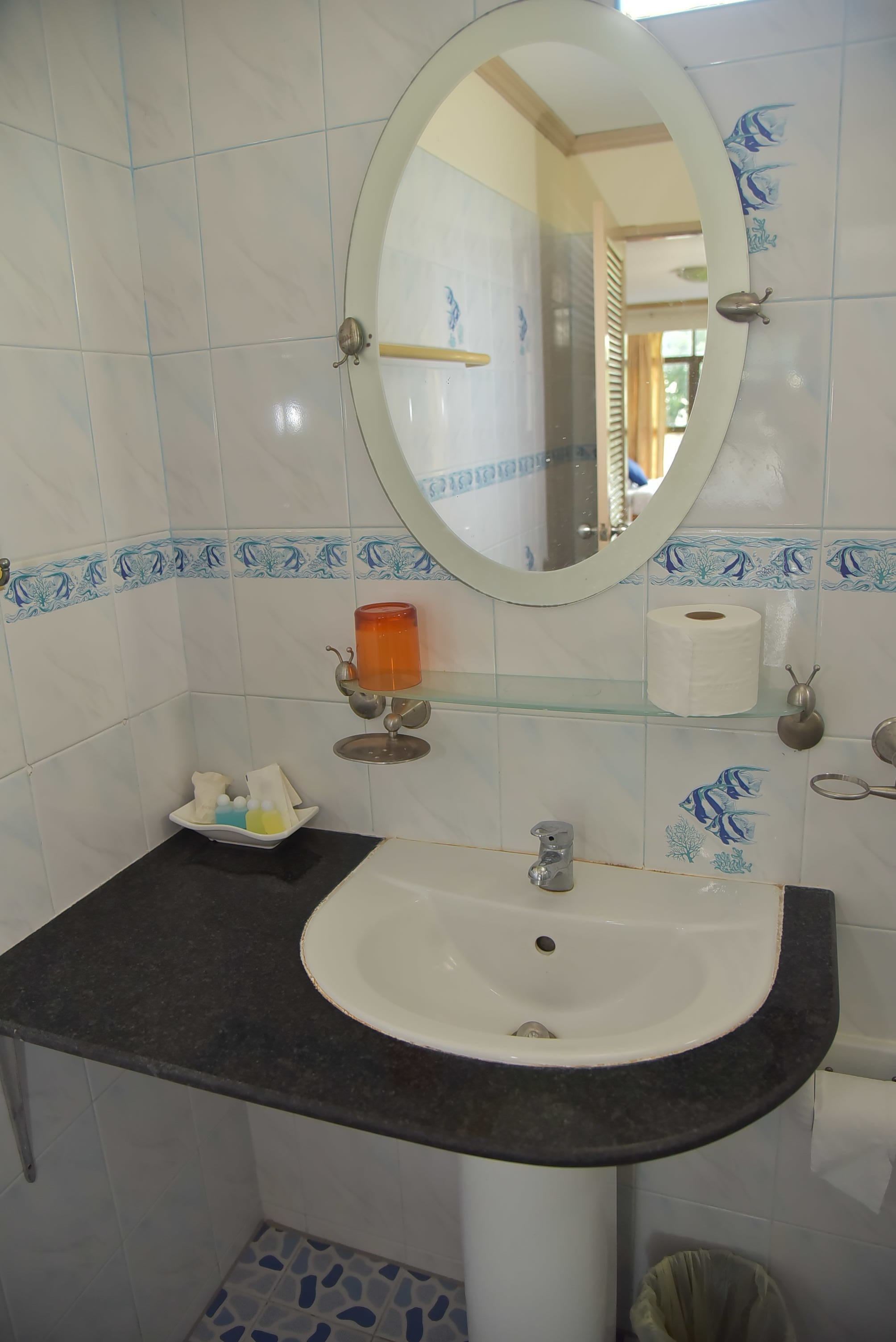 A bathroom with a white sink, a mirror, and a glass shelf with toiletries.