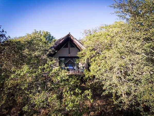 A secluded cabin surrounded by dense foliage, featuring a thatched roof and a small balcony. - Masuwe Lodge (Victoria Falls)