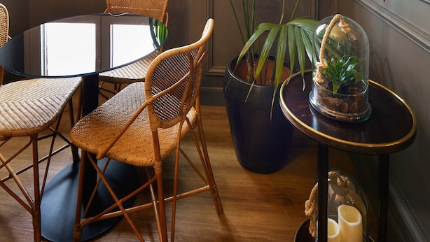 A room with a round table, wicker chairs, potted plants, a decorative elephant head, and a framed picture on the wall. - Boutique Hotel Hugo (Florence)