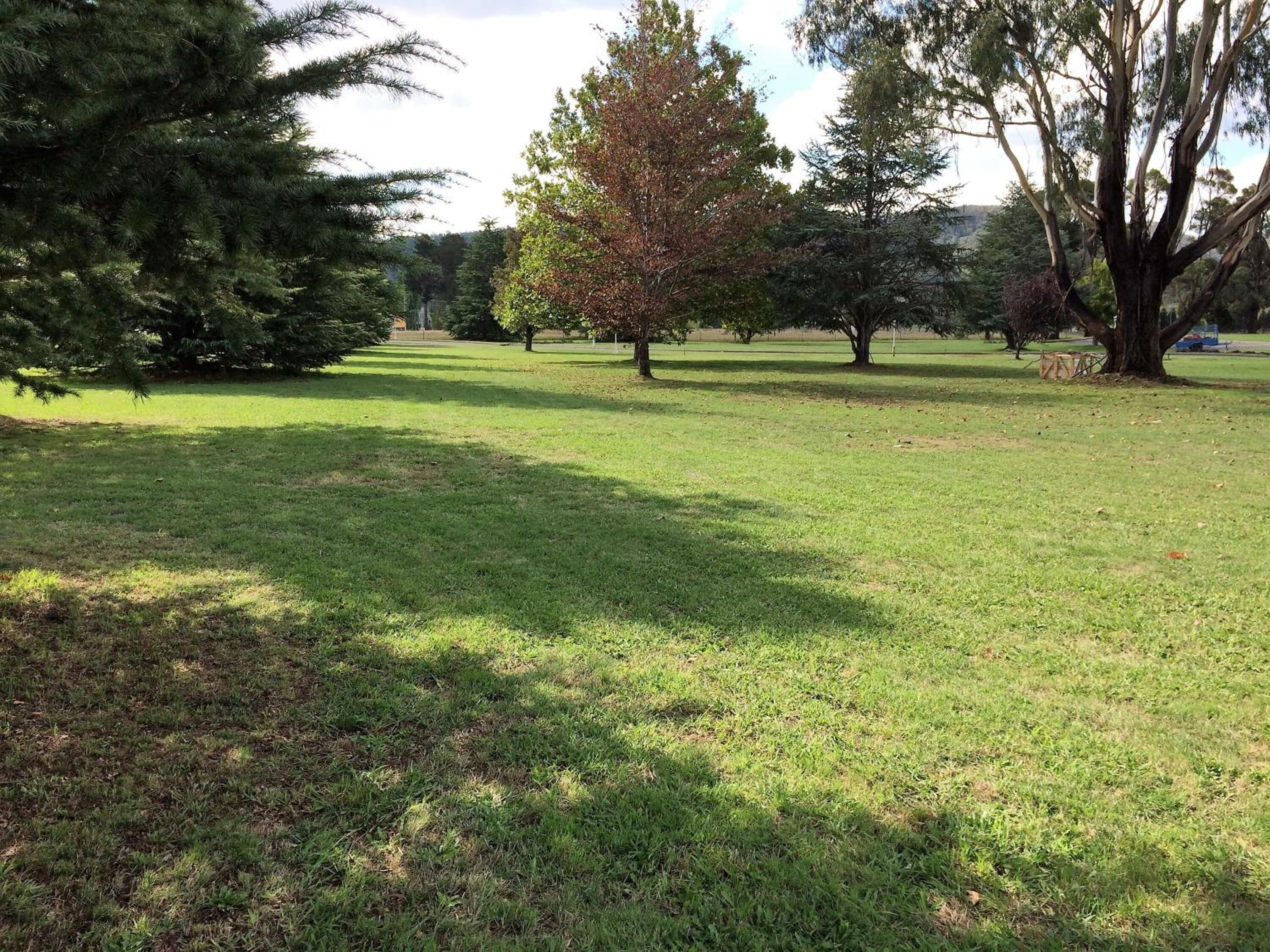 A grassy park area with trees and a clear sky.
