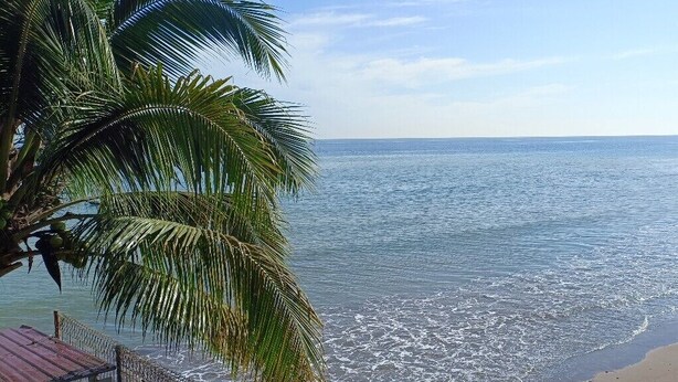 Una playa con agua cristalina, una orilla arenosa y palmeras.