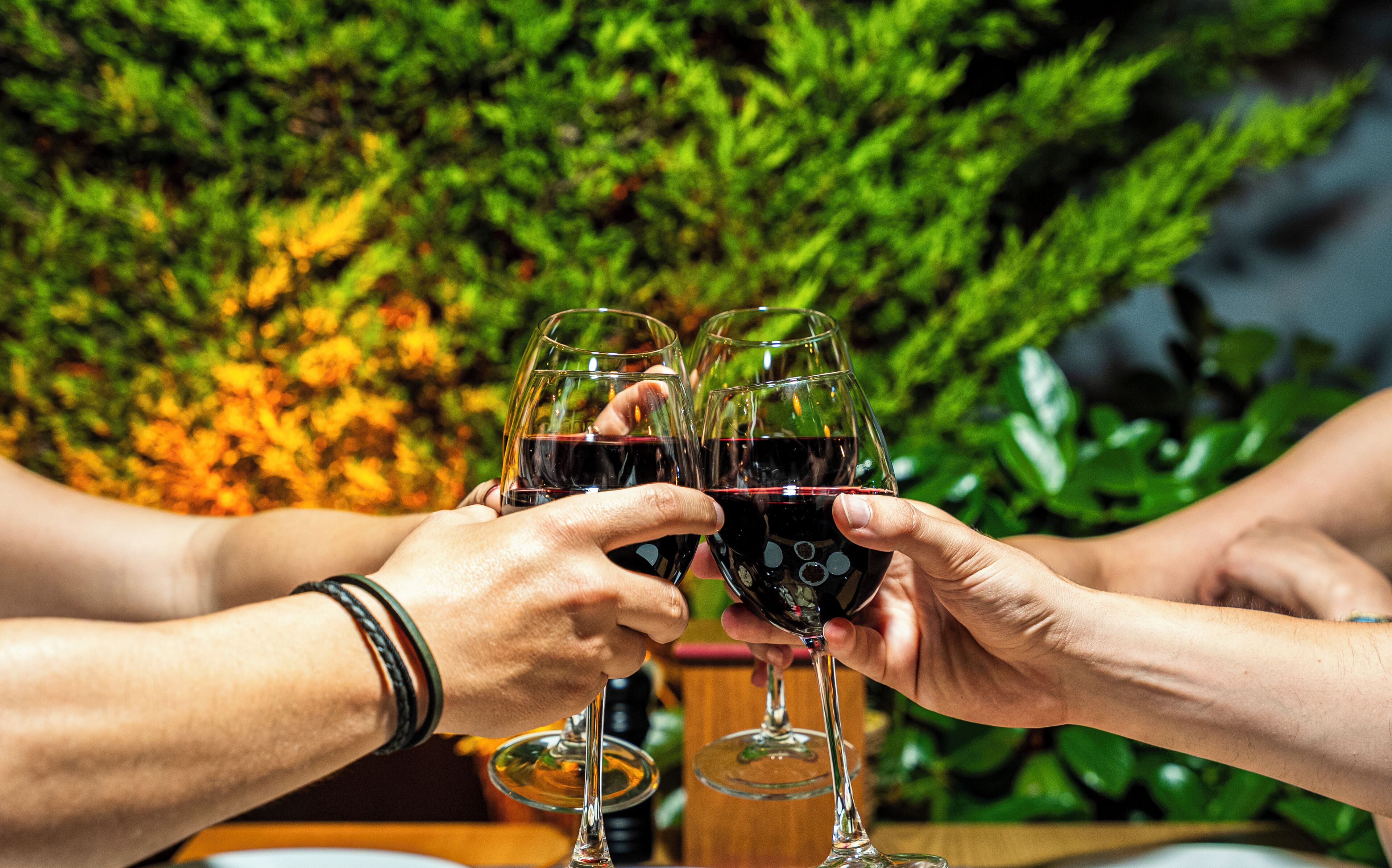 Two people holding wine glasses with a blurred background of greenery.