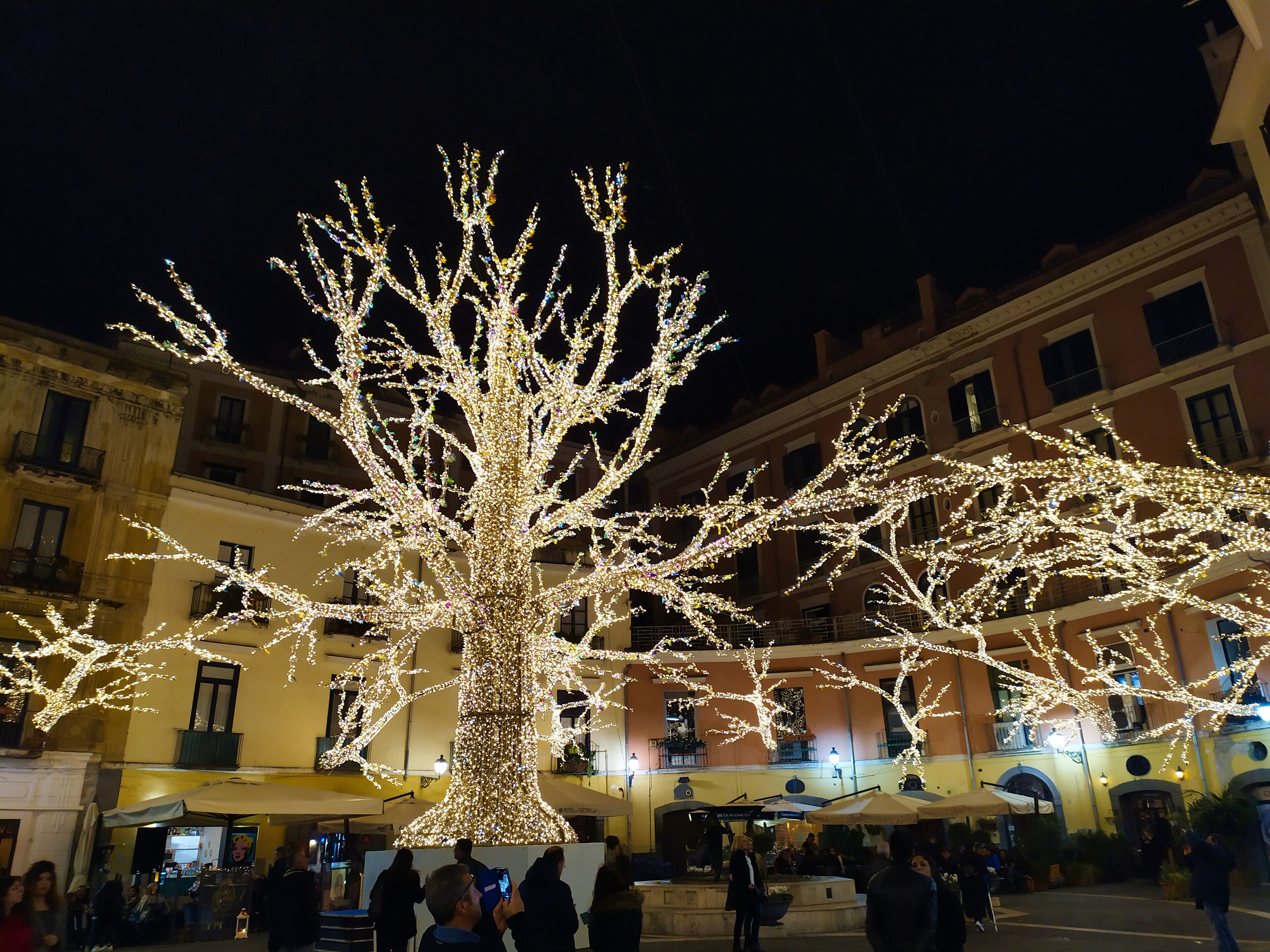 Photo - La Maison du Paradis