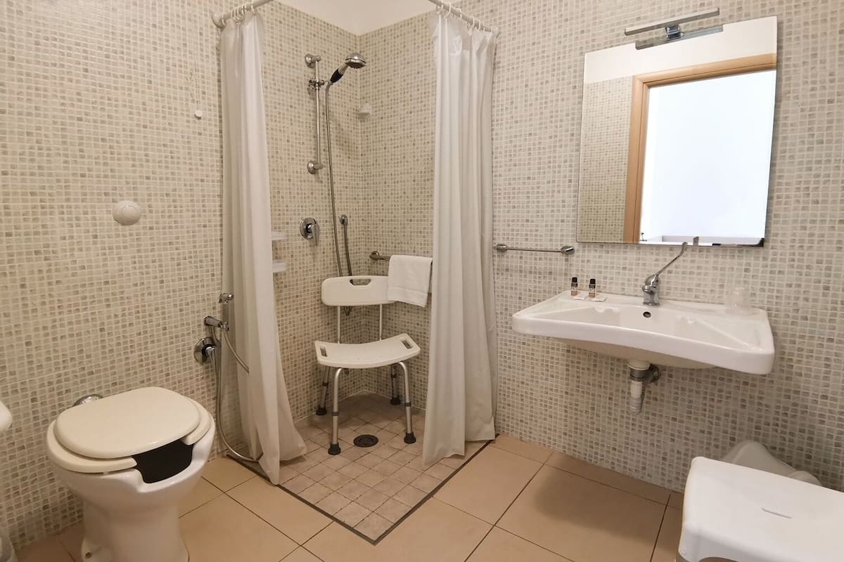 basic double or twin room | bathroom | shower, free toiletries, hair dryer, towels