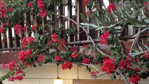 A café and lounge bar named "Türk Evi Pansiyon B&B" with a rustic stone wall and wooden furniture. - Turk Evi (Kas)