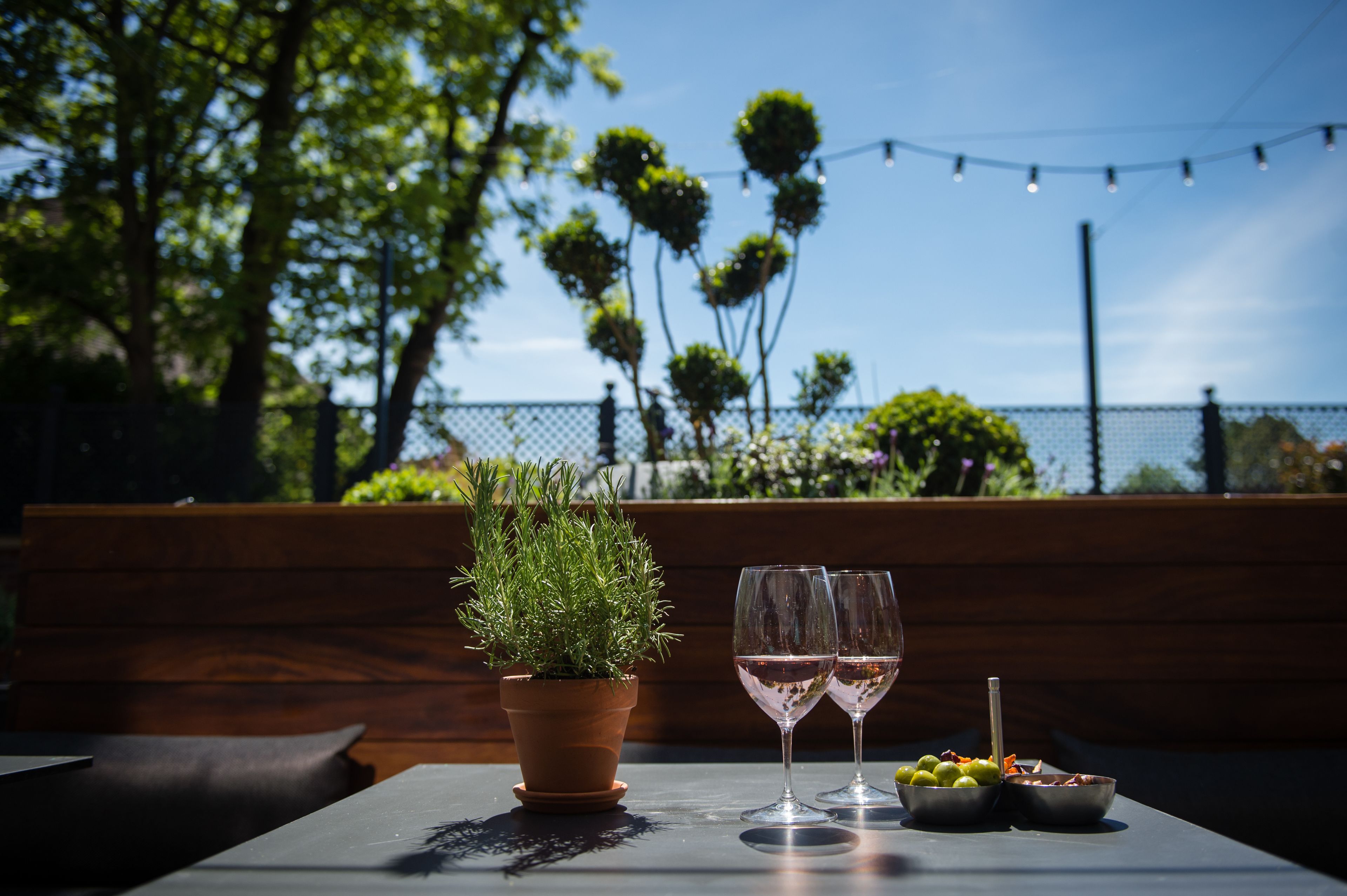 A table with a potted plant, two glasses of wine, and a bowl of fruit.