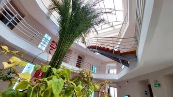 A multi-level atrium with a central staircase, a large palm tree, and various indoor plants.