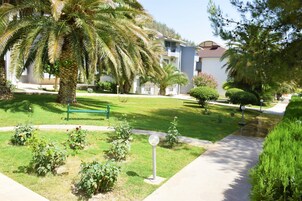 A well-maintained garden with palm trees, a pathway, and a building with balconies.