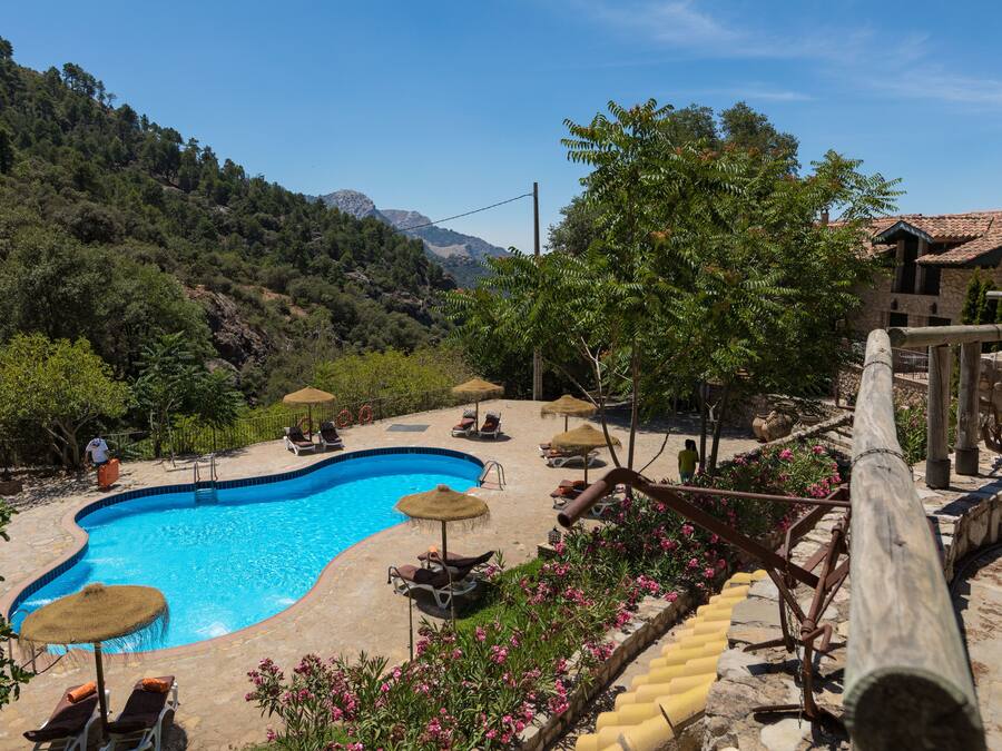Seasonal outdoor pool, pool umbrellas, sun loungers