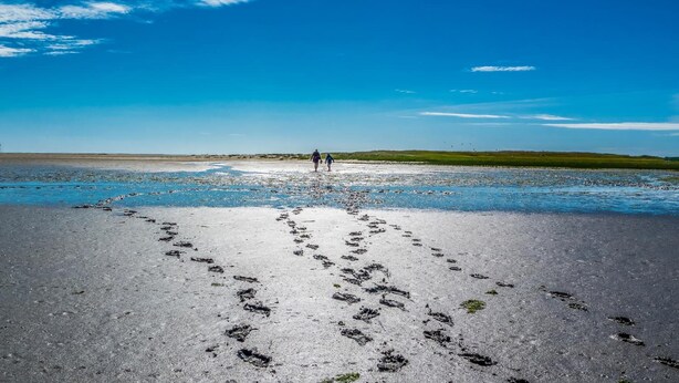 A beach with footprints leading to the water, a clear sky, and a distant person walking. - Hotel Der Muehlenhof (Westerdeichstrich)