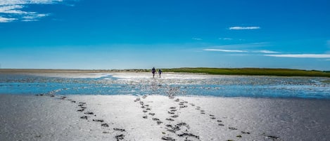 海灘