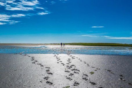 Playa. Hotel Der Muehlenhof