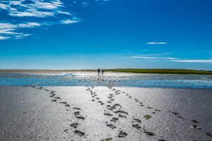 Una playa con huellas que conducen al agua, cielo despejado y una persona caminando a lo lejos.