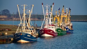 Three fishing boats docked at a pier. - Hotel Der Muehlenhof (Westerdeichstrich)