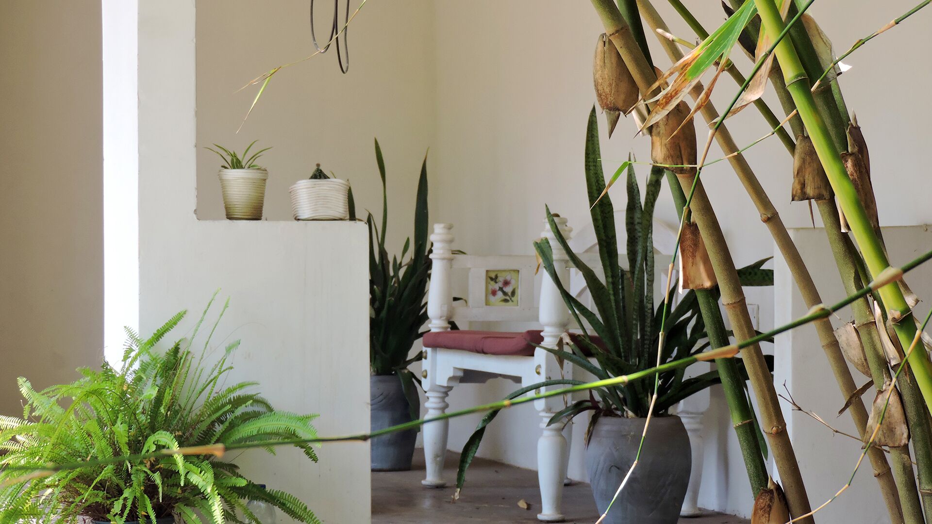 1 bedroom, in-room safe, individually decorated, individually furnished