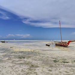 Plage à proximité, sable blanc