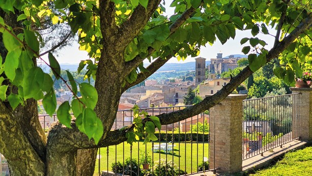 A tree-lined view of a historic town with stone buildings and a clear sky. - Le vigne (Bolsena)