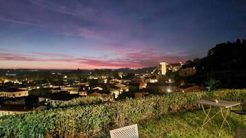 Viñedo con una mesa y una silla, con vistas a un pueblo con edificios históricos y una iglesia en la colina.