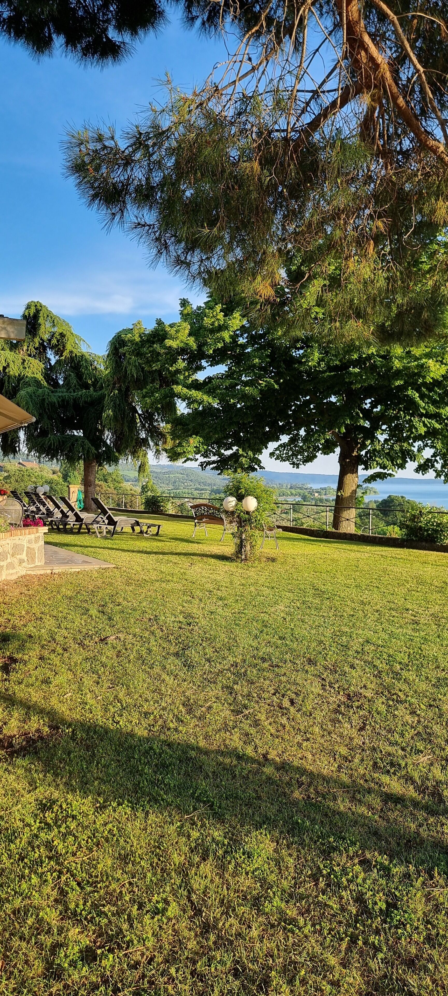 A grassy outdoor area with a large tree, a stone wall, and a view of the landscape.