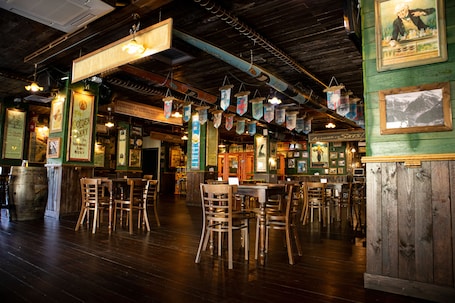 Pub. Hotel Roc Meler