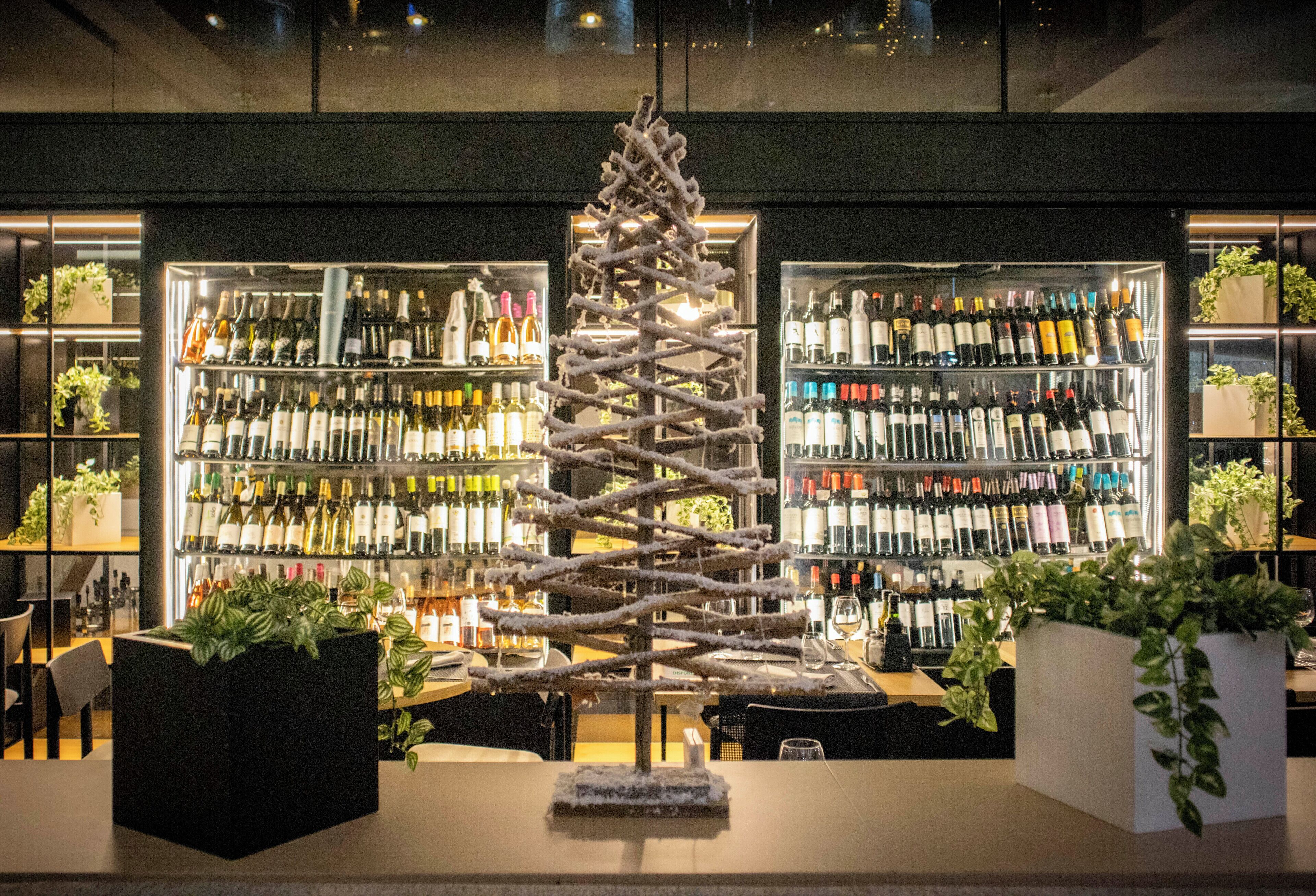 A bar area with a decorative tree centerpiece, shelves of wine bottles, and potted plants.