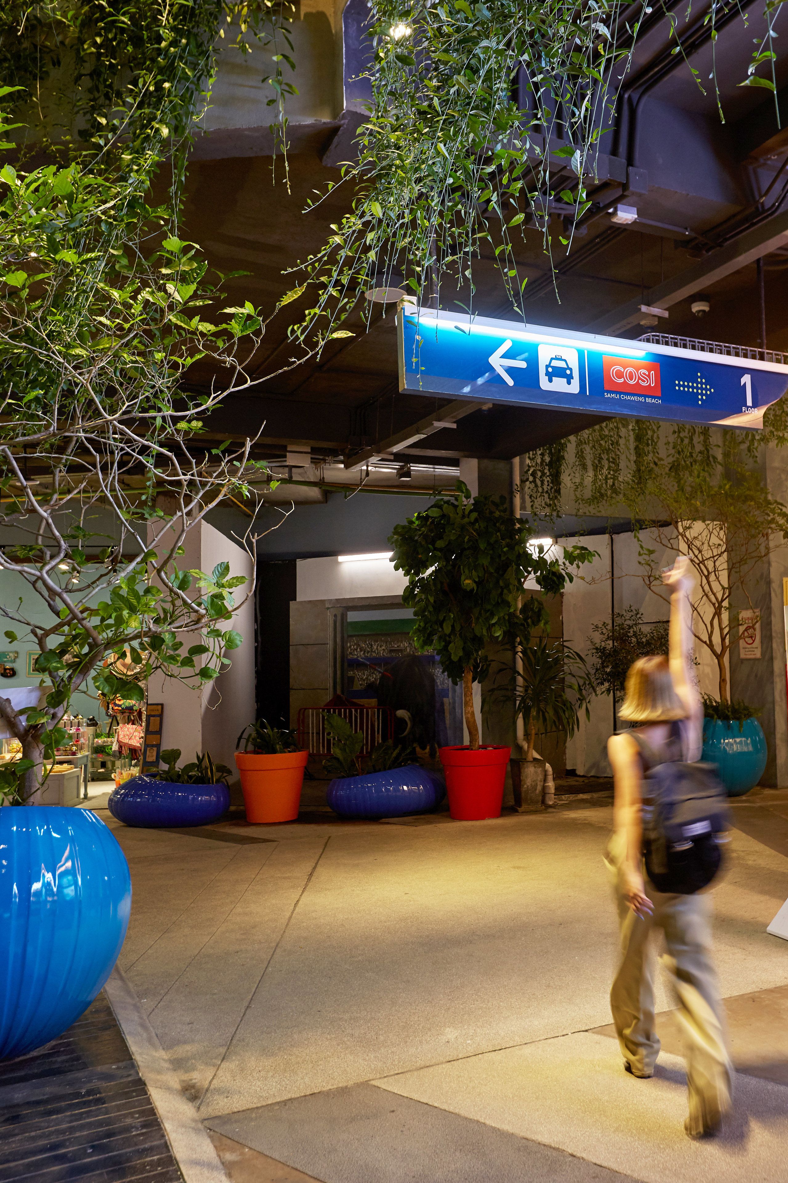 Foto - COSI Samui Chaweng Beach - SHA Plus