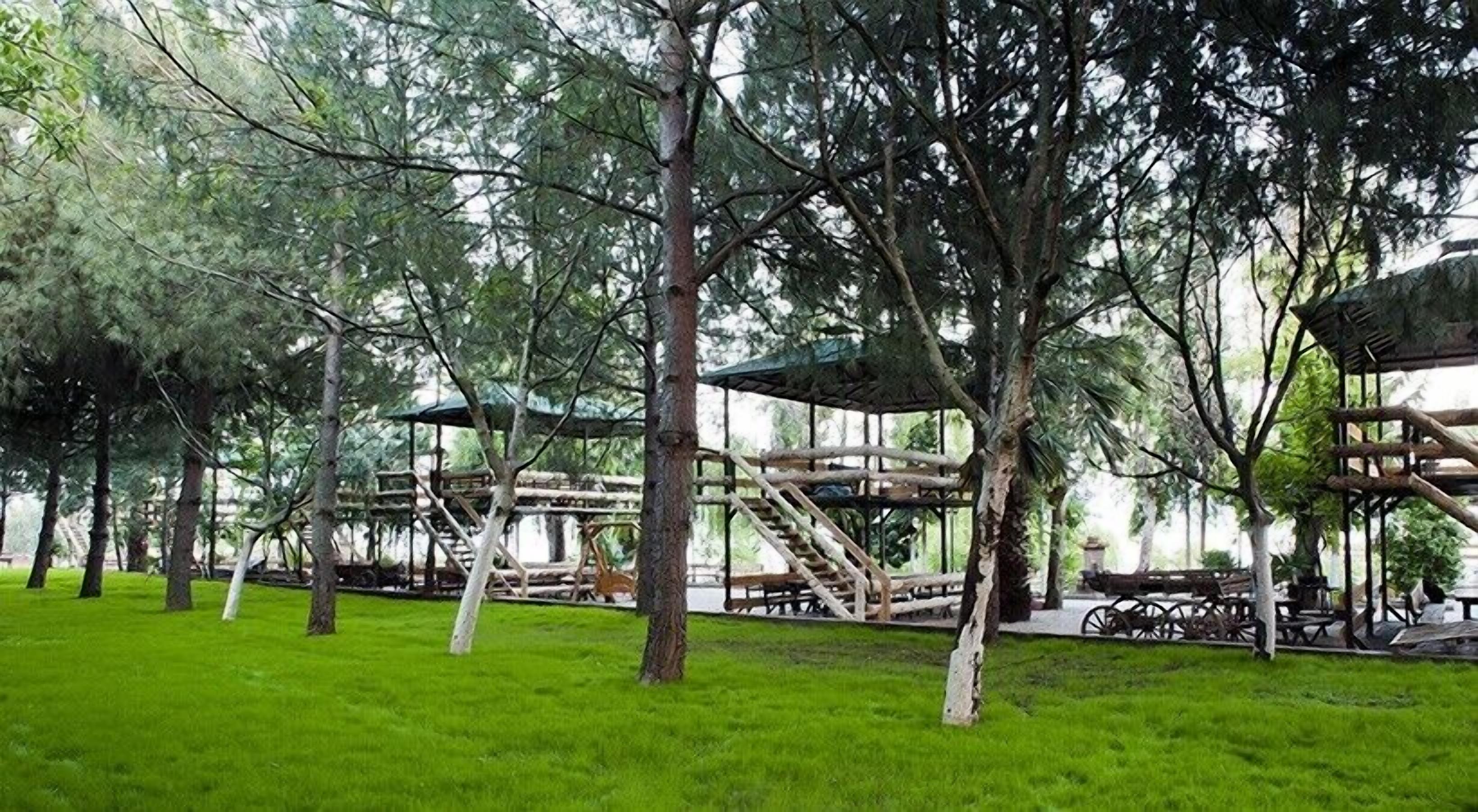 A park with picnic areas, wooden structures, and trees.