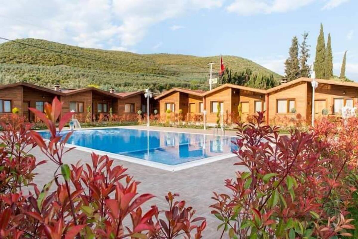 Un área de piscina con cabañas de madera, rodeada de plantas de hojas rojas, y una montaña al fondo.