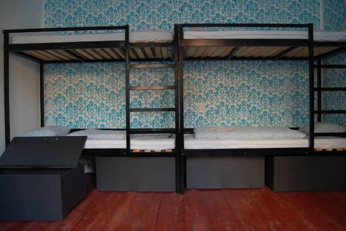 Une chambre avec un lit superposé, un papier peint à motifs, une échelle et un petit bureau.