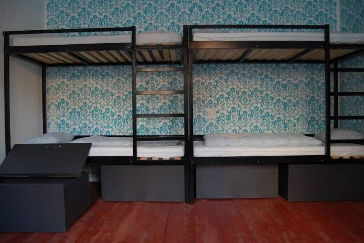 Single Bed in 5-Bed Walk Through Shared Dormitory, Mixed Dorm | In-room safe, rollaway beds, free WiFi
