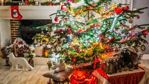 Un salon chaleureux avec un sapin de Noël décoré, une cheminée et un lustre.