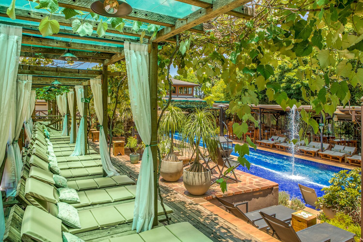 lunch and dinner served