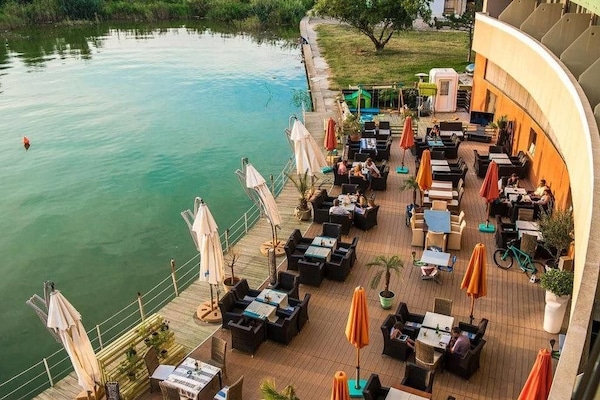 Bar (en el alojamiento)